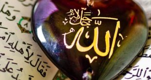 La Miséricorde d’Allah – Cheikh Zakaria Seddiki